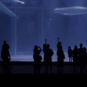 沦为母畜的富豪千金小说
