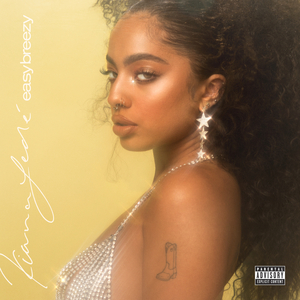 沦为母畜的富豪千金小说
