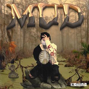 沦为母畜的富豪千金小说
