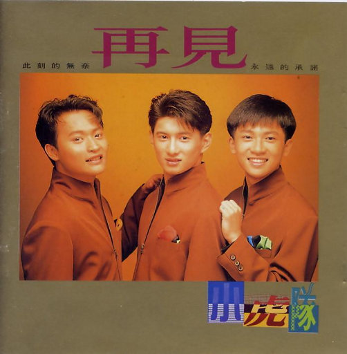 沦为母畜的富豪千金小说
