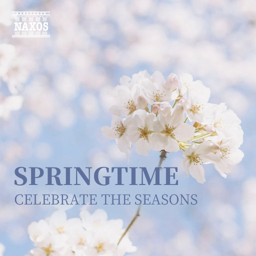 沦为母畜的富豪千金小说
